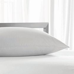 Standard, 20 X 26, 18 Oz, Loves To Be Washed™ Pillow, by Restful Nights, Case Of 12 (low as $127.33 per case) #1643466