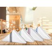 Hsd_bistro-napkin-stripe-set 