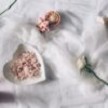 Cheesecloth_hsd 