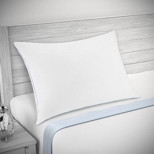 ReNova Cotton Repreve Suprelle_hsd 