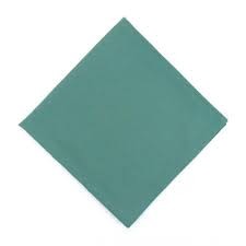 Hsd_spun-poly-napkin-green 