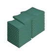 Hsd_spun-poly-napkin-green 