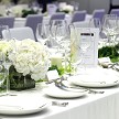 Mariposa Table Linen_hsd 